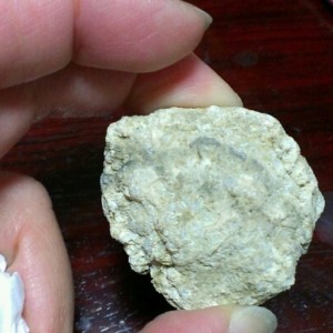 ジオード　水晶　原石